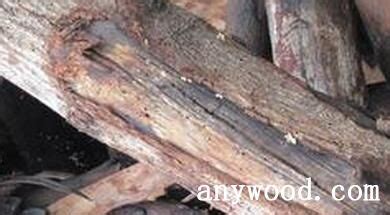 木材变形,木材,原木材材积表_大山谷图库