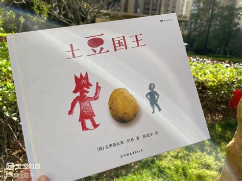展览｜一个关于土豆的在地艺术项目_澎湃号·湃客_澎湃新闻-The Paper
