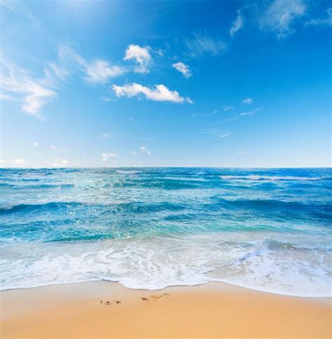 棕榈树 沙滩 夏天大海 4K风景壁纸_4K风景图片高清壁纸_墨鱼部落格