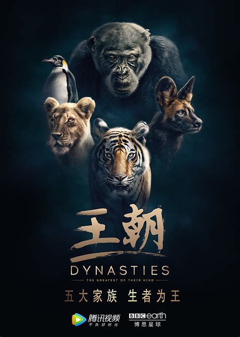王朝(Dynasties)-纪录片-腾讯视频