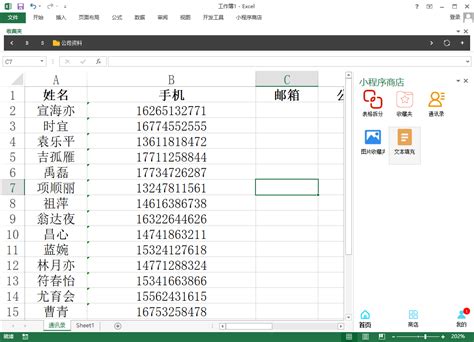 Excel小程序-通讯录-WPS和Excel小程序商店办公插件