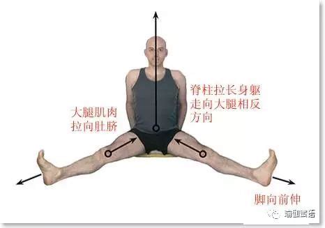 瑜伽老师说 “脚根基稳定！”, 几个意思？