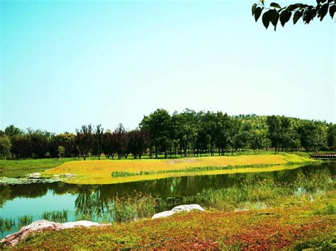 南苑森林湿地公园槐房片区景观工程于本月开工建设-北京市丰台区人民政府网站
