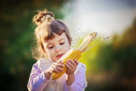 小男孩收玉米素材图片免费下载-千库网