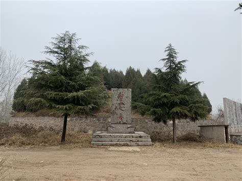 锡拉库萨考古公园，传说中的阿基米德墓在这里_希腊