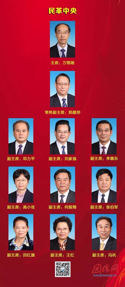 八个民主党派新一届中央主席、副主席，都有谁？（完整收藏版）-搜狐大视野-搜狐新闻