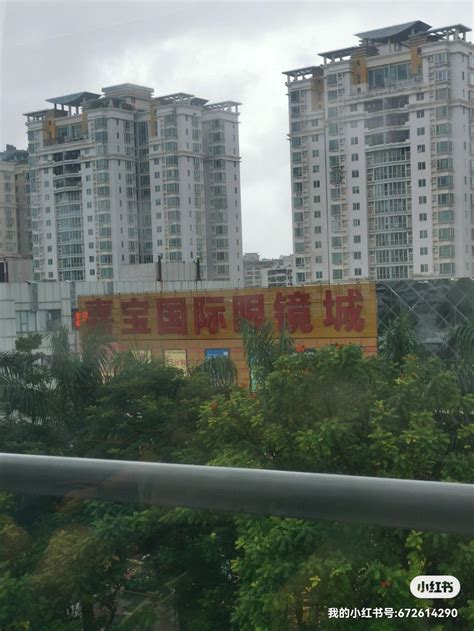 官宣：横岗外国语小学来了_家在横岗 - 家在深圳