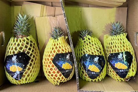 占台湾出口总量97％！大陆紧急暂停进口台湾菠萝，一菠萝专列开通 — 搜航网