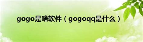 gogo是啥软件（gogoqq是什么）_公会界