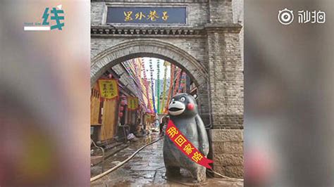 续集？重庆还有一只熊本熊在漂流：请长江下游居民帮寻找“二熊” | 北晚新视觉