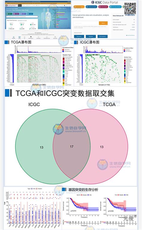 高通量基因（NGS）测序检测-天津市肿瘤医院-北方网企业建站