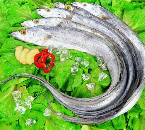 带鱼的热量(卡路里cal),带鱼的功效与作用,带鱼的食用方法,带鱼的营养价值