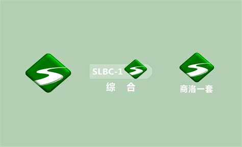 洛阳LOGO设计-洛阳无线城市品牌logo设计-三文品牌