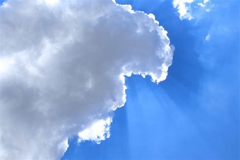 在白云上涂鸦，美术学生的云朵绘画，简单的创意变得更有趣|绘画|云朵|美术生_新浪新闻