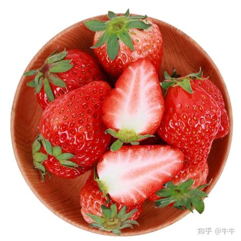 草莓品牌排行榜-草莓十大品牌-草莓排行榜-Maigoo品牌榜