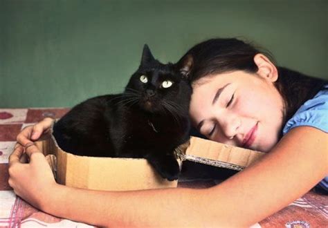 猫做梦都会梦到些啥？你在他的梦里是什么样子？_腾讯视频