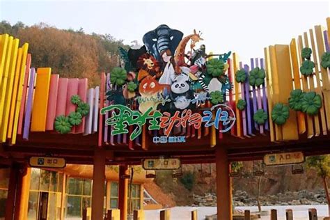 武汉动物园和武汉九峰森林动物园哪个更好玩_旅泊网