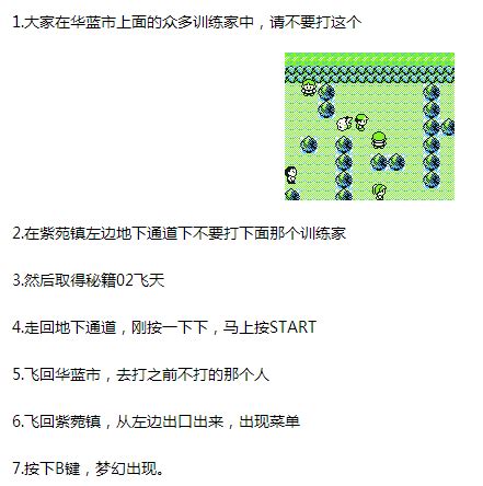 3DS游戏：《精灵宝可梦终极红宝石》图文攻略详解（一）-搜狐大视野-搜狐新闻