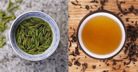 狮峰龙井是绿茶吗 —【发财农业网】