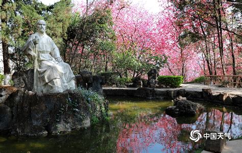 安徽岳西：“口袋公园”春色满园-人民图片网