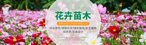 园艺公司广告 花卉公司广告设计图__DM宣传单_广告设计_设计图库_昵图网nipic.com