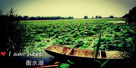 衡水：京津冀最美湿地衡水湖