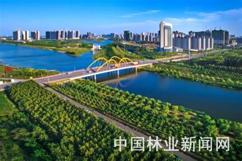 安徽：平原+绿化 埇桥区成就森林城市的梦想 园林资讯