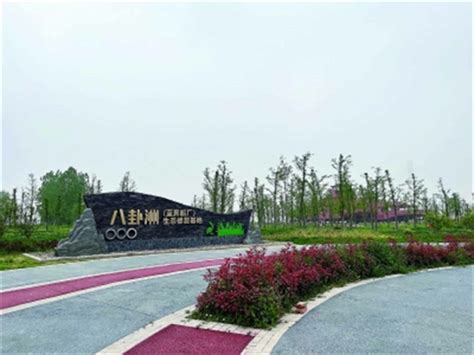 南京市栖霞区人民政府 八卦洲再添一座湿地公园