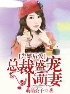 暖婚甜宠：腹黑总裁的小萌妻-华夏天空小说网