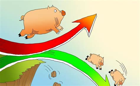 深度分析：猪价或离拐点不远了！？证券分析师表示四大止跌信号已出现！ - 猪好多网
