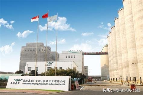 汤阴·物产中大粮油产业园项目签约仪式举行