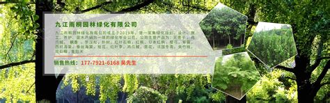 九江雨桐园林绿化有限公司