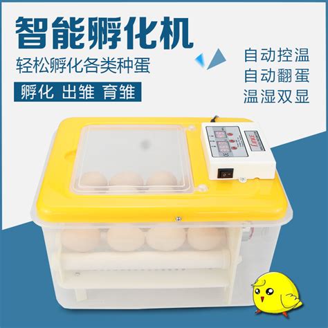 孵化器小型家用孵蛋器孵小鸡的机器全自动智能鸡鸭蛋孵化箱孵化机-阿里巴巴