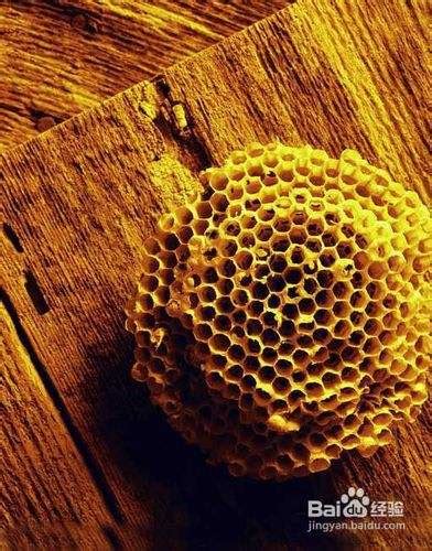 蜂房的功效与作用-百度经验