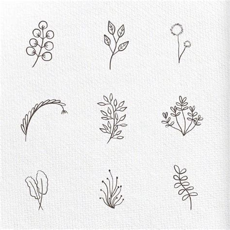 手绘花盆植物简笔画图片-手绘花盆植物简笔画图片素材免费下载-千库网