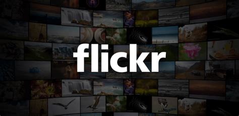 Flickr Now Lets You Embed Photos On Websites