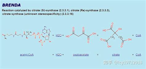 吡啶酮结构分散染料的合成及其偶氮-腙式异色机理