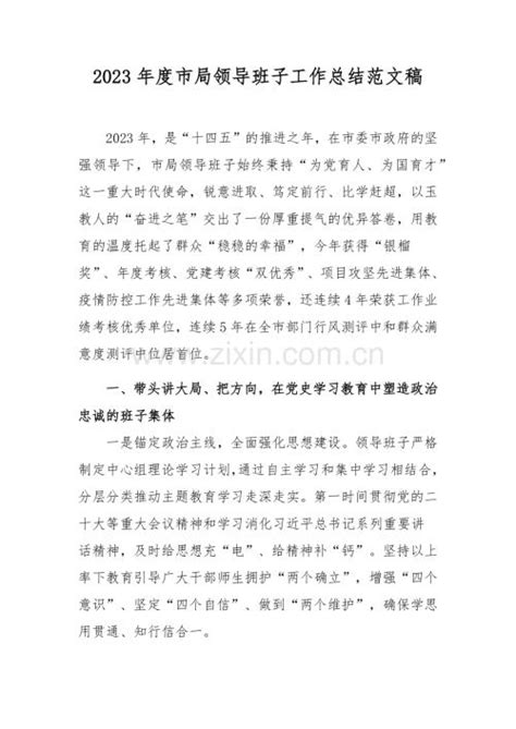 2023年度市局领导班子工作总结范文稿.docx_咨信网zixin.com.cn