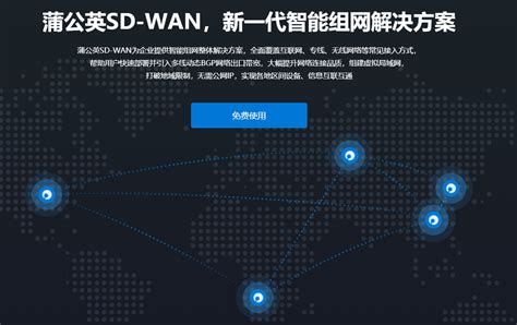 异地组网跨境访问——SD-WAN组网客户方案展示 - 知乎