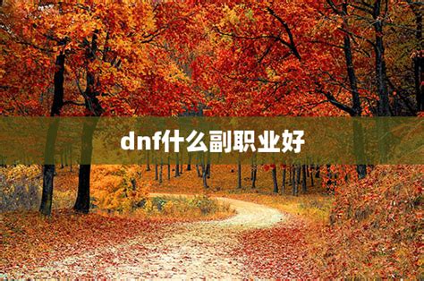 dnf副职业_word文档在线阅读与下载_无忧文档
