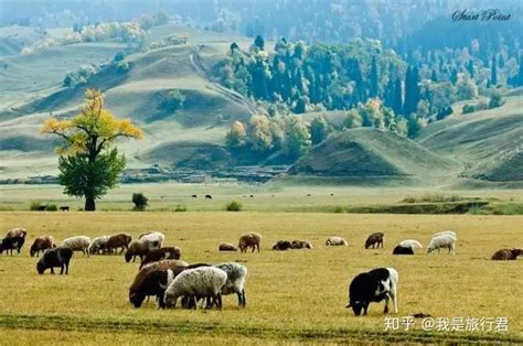 新疆伊犁玛雅图国家湿地公园|新疆|伊犁河|伊犁_新浪新闻