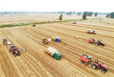 全省已收获小麦2132万亩进度接近六成|机械_新浪新闻