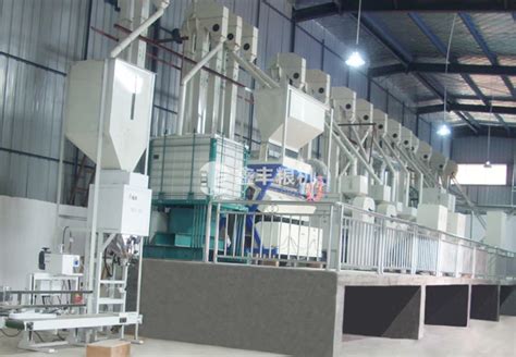 大米加工生产线-250吨级大米加工生产线-河南中佩实业发展有限公司