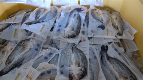 GUO LIAN国联水产 酒香海鲈鱼 三去开背净膛 国产鲈鱼 净重400g 单条装 海鲜水产-商品详情-菜管家
