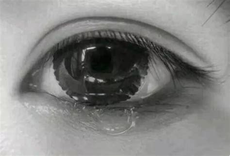 为什么我的眼里常含泪水？难道是“它”对我爱得深沉？ - 知乎