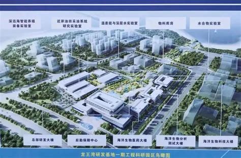 湛江：区域医疗中心创建呈现“加速度”_建设_发展_项目