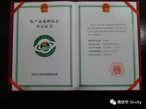滁州首张农产品地理标志证书落户明光市_山东百仕达地标产业有限公司