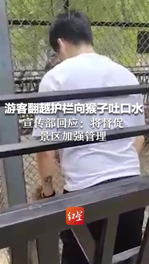游客翻越护栏向猴子吐口水，宣传部回应：将督促景区加强管理_凤凰网视频_凤凰网