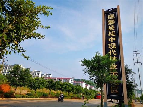鹿寨：历史作底人文润色 做大做强文旅产业-广西县域经济发展研究院