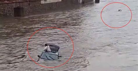 1男孩意外掉入江里 同行2女孩去救致使3人溺水身亡_腾讯视频